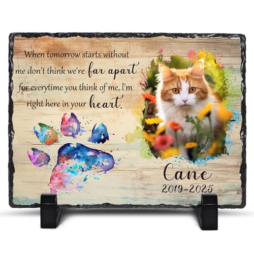 Customized Pet Photo Memorial Stones for Loss of Dogs Cats Sympathy Gift - color: Style 6