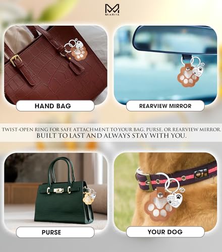 Pet Paw Print KeepSake Dog Memorial Suncatcher – Pet Fur Keepsake for Dog Hair, pet Hair Memorial keepsake - color: Miarita- Kl- Pet Hair