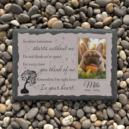 Personalized Photo Pet Memorial Stone for Dogs Cats - color: Memorial 7