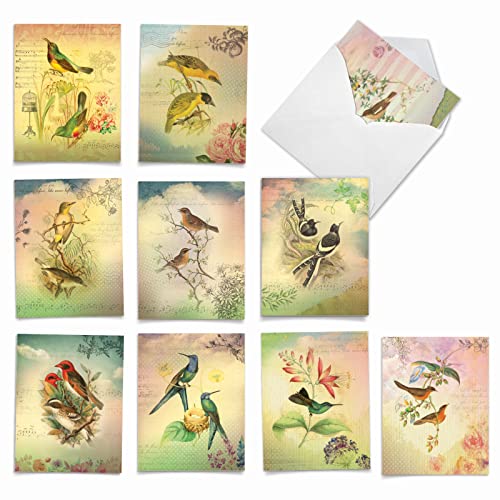 The Best Card Company - 10 Assoorted Bird Blank Notecards (4 x 5.12 Inch) - All Occasion Cards Variety Pack with Envelopes, Boxed Set - Songbird Notes AM6948OCB-B1x10 - style: Songbird Notes