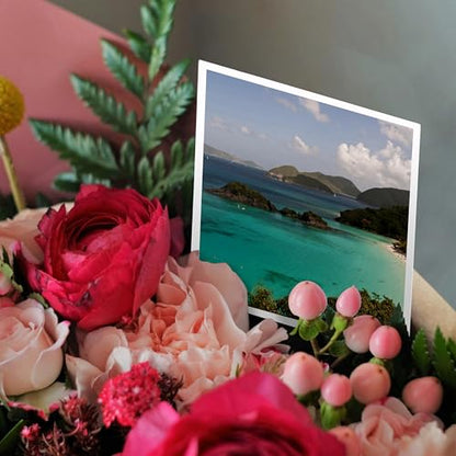 3dRose USVI, St John, Popular Trunk Bay - CA37 TDR0017 - Trish Drury 1 Greeting Card with envelope