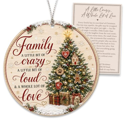 Family Christmas Ornament 2026, Funny Family Tree Ornament, A Little Bit of Crazy, A Little Bit of Loud, A Whole Lot of Love Holiday Keepsake - color: Family1