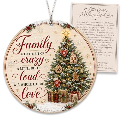 Family Christmas Ornament 2026, Funny Family Tree Ornament, A Little Bit of Crazy, A Little Bit of Loud, A Whole Lot of Love Holiday Keepsake - color: Family1