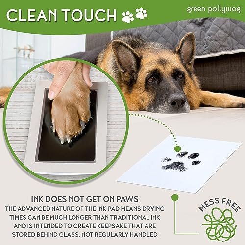 Green Pollywog Wood Base Paw Print Frame Kit with Ink Pad, Set of 2 - size: Wood Base Paw Print Frame Kit