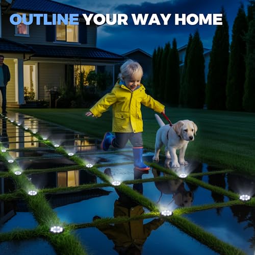 SOLPEX 12 Pack Small Solar Ground Lights, Driveway Lights Cool White - color: Cool White, size: 12 Pack