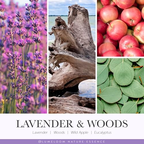 LUMELOOM Sympathy Gift for Loss of Loved One, 14.5oz 3-Wick Lavender Candle | Memorial Gifts, Miscarriage Gifts for Mothers, Bereavement Condolence Grief Presents for Women, No Words Just Hugs Candle