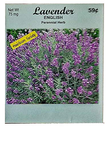 Set of 50 Flower Seed Packets! Flower Seeds in Bulk (50, Lavender) - color: Lavender