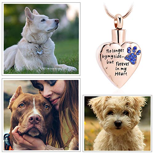memorial jewelry No Longer by My Side,But Forever in My Heart Carved Locket Cremation Urn Necklace for Pet Dog Cats - color: RoseGold-Blue
