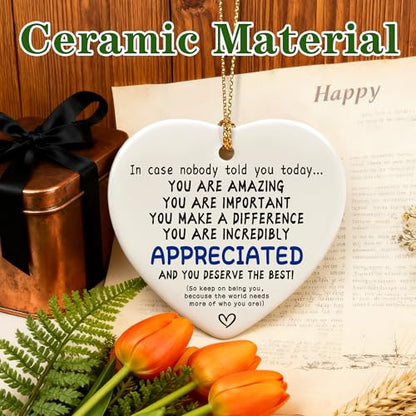 in Case Nobody Told You Today: You are Amazing, Important & Make a Difference - Affirmations Sign | Office Gift, Appreciation Gifts, Thank You Gifts, Going Away, Retirement Gift | Christmas Ornament - color: Deserve the Best