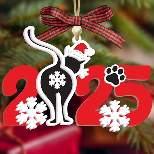 God Say You are Christian Christmas Ornament 2025, God Says I am 2D Flat Acrylic Christmas Ornament Reading Girl Xmas Decor with Book Lover Bookworms (KATINAT- Cat 2025 Ornament) - color: Katinat- Cat 2025 Ornament