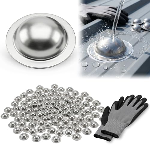 Stainless Steel Roofing Screw Caps for Roof Leak Repair, 100 Pcs