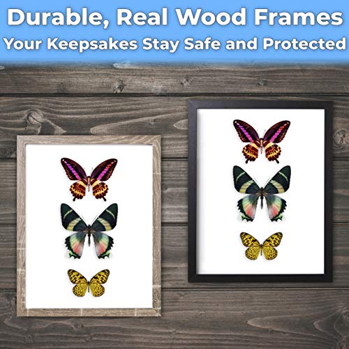 Super-Sturdy, 11x14 Black Shadow Box Frame With Glass 1. Great Seashell Display Case Size 9 None Quality Display Box - color: Black, size: 1pk