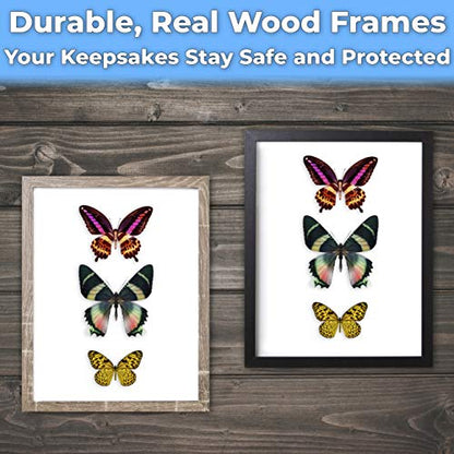 Super-Sturdy, 11x14 Black Shadow Box Frame With Glass 1. Great Seashell Display Case Size 9 None Quality Display Box - color: Black, size: 1pk