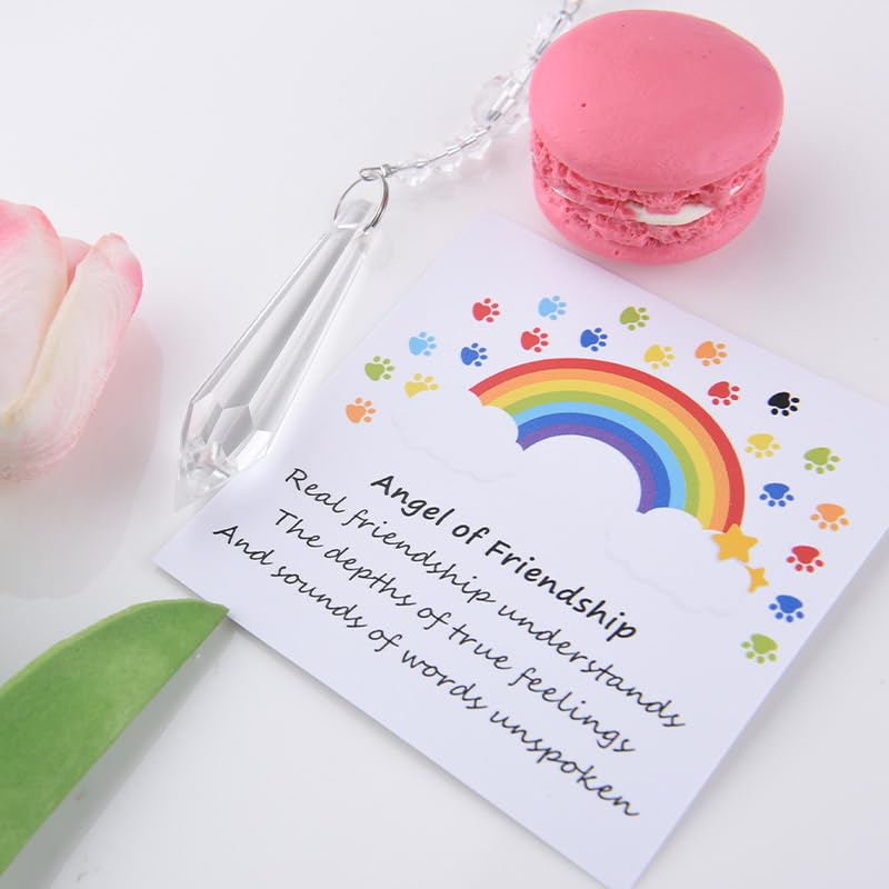 Sisadodo Rainbow Bridge Dog Memorial Gifts for Loss of Dogs Cats Rainbow Bridge Bracelet Keychains Paw Crystal Sun Catcher - color: Card and Crystal Suncatcher