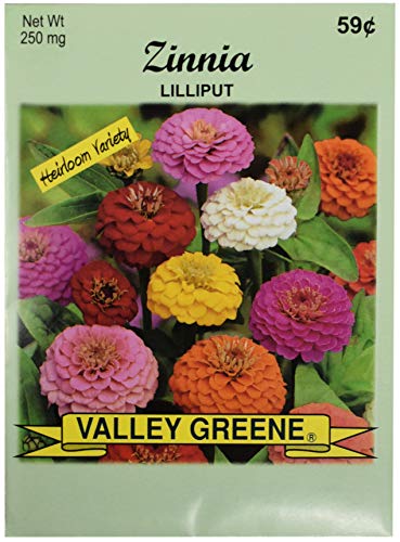 Black Duck Brand Set of Zinnia Lilliput Flower Seed Packets! Flower Seeds in Bulk - Great for Creating The Garden of Your Dreams! (25, Zinnia - Lilliput) - color: Zinnia - Lilliput