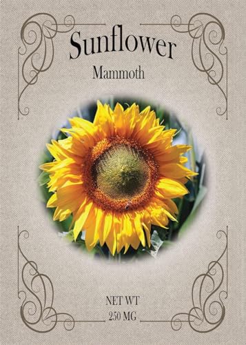Black Duck Brand Set of Flower Seed Packets! Flower Seeds in Bulk - Great for Creating The Garden of Your Dreams! (25, Mammoth Sunflower) - color: Mammoth Sunflower