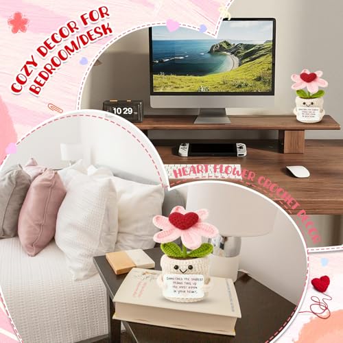 Inspirational Gifts for Women Men - Smallest Things Take Up the Most Room Crochet Flower Ornament - Sentimental Christmas Birthday Thinking of You Present for Her Him Best Friends - color: Thinking of You