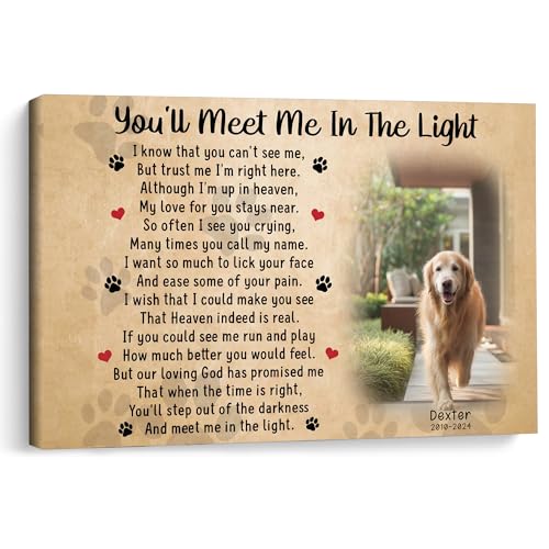 KiKiLuna Personalized Dog Cat Memorial Framed Canvas Poster - color: Design 3