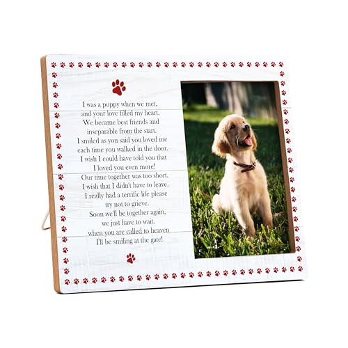 Pet Memorial Pictures Frame, Remembrance Photo Frame, Sympathy Gifts For Loss Of Pet Dog Cat, Farmhouse Home Living Room Bedroom Office Decoration -101