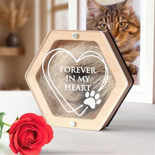 Pet Hair Keepsake Box for Dog or Cat Fur – Wooden Memorial Display Box with Clear Acrylic Lid – Unique Gift for Pet Loss – Forever in My Heart (Light Wood) - color: Light Wood