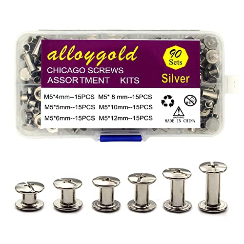 Silver Chicago Screws Leather Kit, 6 Sizes (M5 X 4, 5, 6, 8, 10, 12) - color: Silver, size: M5*4.5.6.8.10.12mm