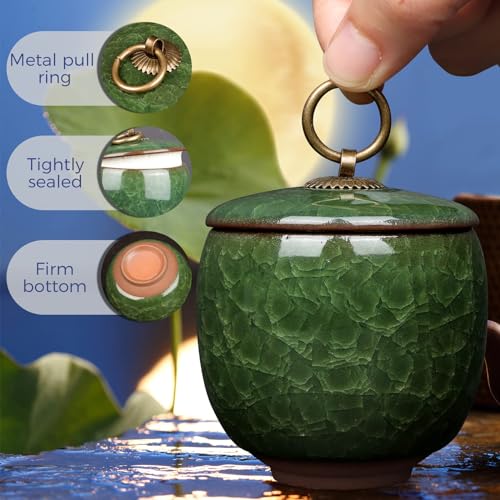 Small Urns for Human Ashes Keepsake, Ceramic Ice Crack Memorial Keepsake Cremation Urns Token Urns Mini Sharing Funeral Urns with Black Premium Box,Green - color: Green