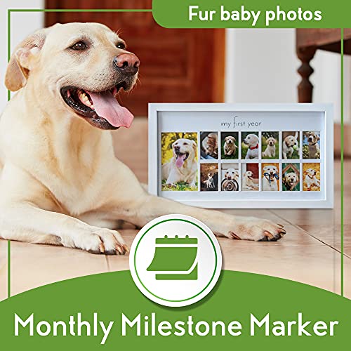 Green Pollywog My First Year Dog Picture Frame, 12-Month - size: Dog First Year Frame - White