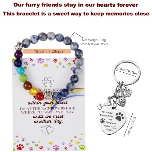 Wood Pet Urns for Dog or Cat Ashes Sets, Pet Cremation Urns - color: Medium-Rainbow
