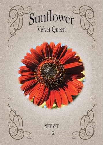 Black Duck Brand Set of Flower Seed Packets! Flower Seeds in Bulk - Great for Creating The Garden of Your Dreams! (25, Velvet Queen Sunflower) - color: Velvet Queen Sunflower