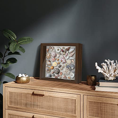 Americanflat 11x11 Shadow Box Frame with Shatter-Resistant Glass - Silhouette Collection - Large Shadow Box Display Case for Tabletop and Wall Display - Walnut with Soft Felt Back | Shatter-resistant glass, 1.5 inch interior depth, displays keepsakes, med
