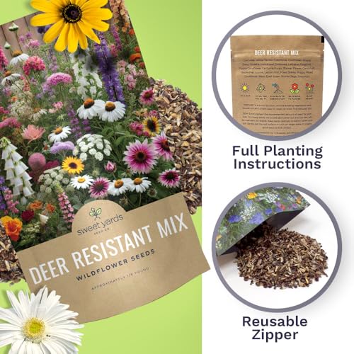 Deer Resistant Wildflower Seed Mixture - Bulk 1/4 Pound Bag - Over 60,000 Deer Tolerant Seeds - Open Pollinated and Non GMO - size: 1/4 Pound Bag