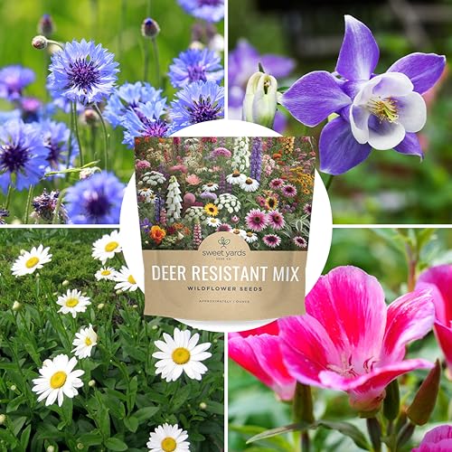 Deer Resistant Wildflower Seed Mixture - Bulk 1 Ounce Packet - Over 15,000 Deer Tolerant Seeds - Open Pollinated and Non GMO - size: 1 Ounce Pouch