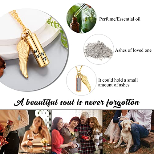 abooxiu Cylinder Cremation Necklace for Pet Ashes Urn Necklace with Angel Wing Pet Paw Ashes Necklace for Dog/Cat Memorial Keepsake Jewelry - color: Gold