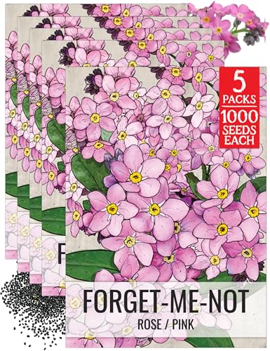 Seed Needs Rose Forget Me Not Seeds to Plant Pink Flowers Outdoors 5 Packs - size: 5 Packs, style: Rose FMN