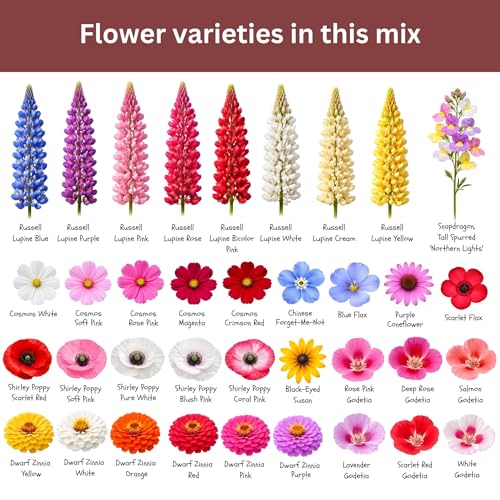 Butterfly and Hummingbird Wildflower Mix – 30,000+ Seeds – 1 oz Bulk Extra Large Resealable Packet – Non-GMO Open Pollinated Wildflower Seeds