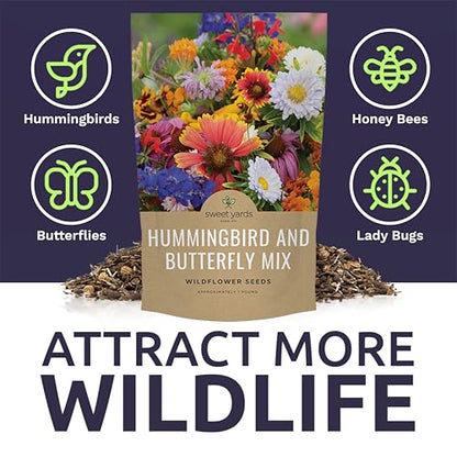 Bulk Wildflower Seeds Butterfly and Hummingbird Mix - 1 Pound Bag - Over 120,000 Open Pollinated Annual and Perennial Seeds - size: Bulk 1 Pound
