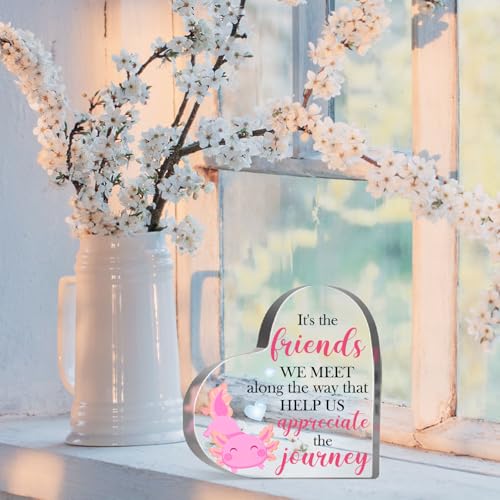Axolotl Lover Gifts for Women Girls Friendship Keepsake Acrylic Gifts Inspirational Axolotl Decorative Acrylic Sign for Friend Coworker Office School Desk Shelf - style: Axolotl 01