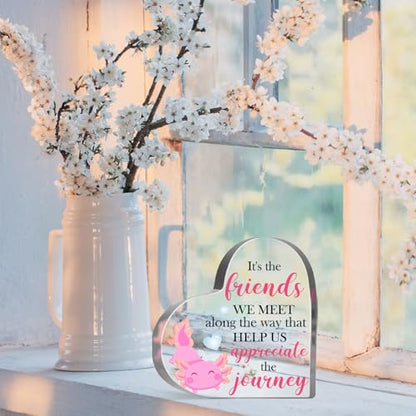 Axolotl Lover Gifts for Women Girls Friendship Keepsake Acrylic Gifts Inspirational Axolotl Decorative Acrylic Sign for Friend Coworker Office School Desk Shelf - style: Axolotl 01