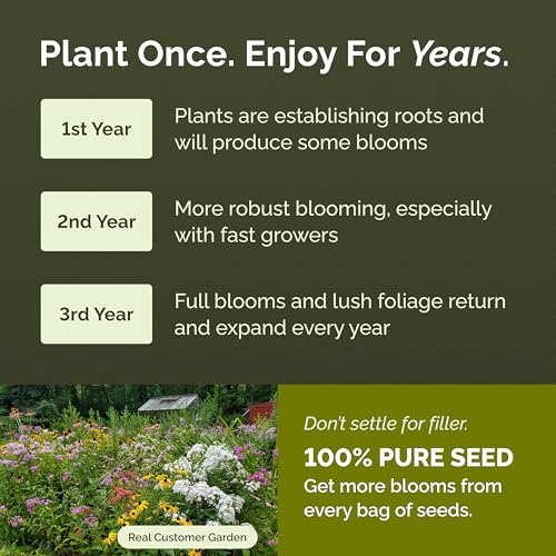 Eden Brothers All Perennial Wildflower Mixed Seeds for Planting, 1 oz, Seeds with Lupine, Shasta Daisy | Attracts Pollinators, Plant in Spring or Fall, for Zones 3, 4, 5, 6, 7, 8, 9, 10 - size: 1 Ounce, style: All Perennial