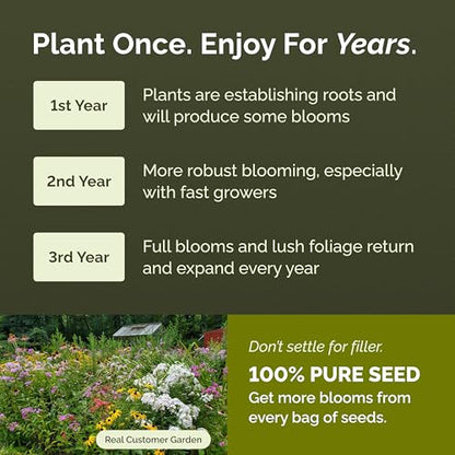 Eden Brothers All Perennial Wildflower Mixed Seeds for Planting, 5 lb, 2,400,000+ Seeds with Lupine, Shasta Daisy| Attracts Pollinators, Plant in Spring or Fall, Zones 3, 4, 5, 6, 7, 8, 9, 10 - size: 5 Pounds, style: All Perennial