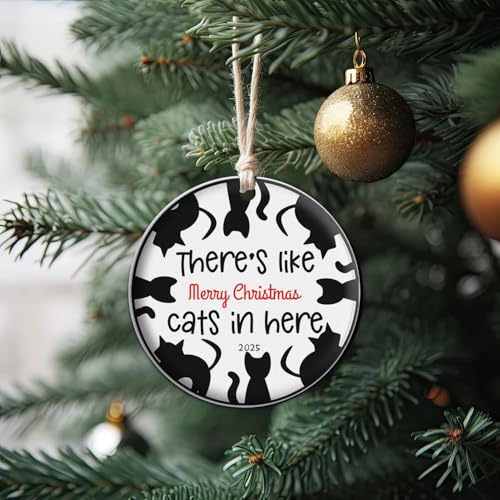 Tuxedo Cat Lover Christmas Ornament 2026, Cat Owner Gift - color: C12