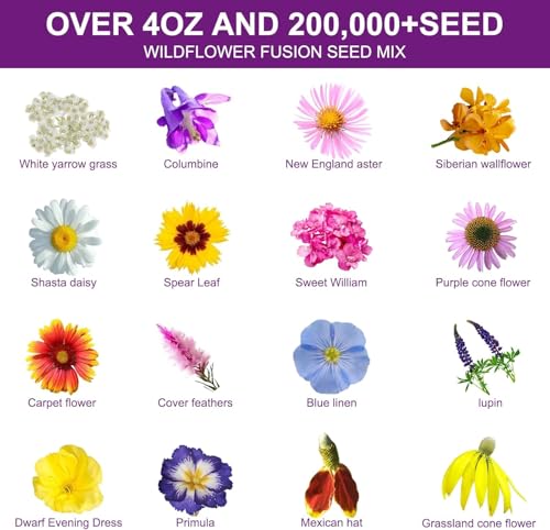 200,000+ Wildflower Seeds [4oz] 16 Variety Perennial Mix - Heirloom Seeds for Pollinator Gardens | Attracts Bees/Birds/Butterflies | High Germination Rate for Indoor & Outdoor - size: 16 Variety Perennial Mix