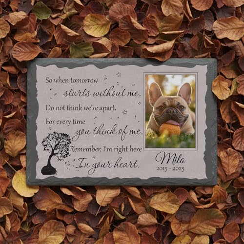 Personalized Photo Pet Memorial Stone for Dogs Cats - color: Memorial 7
