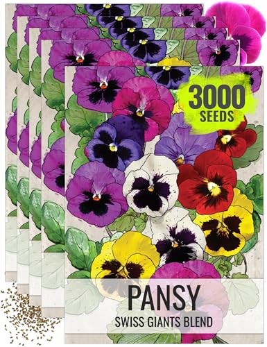 Seed Needs Swiss Giants Pansy Seeds to Plant a Mixture of Flowers 5 Packs - size: 5 Packs, style: Swiss Giants Pansy