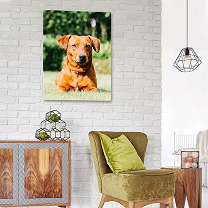 Personalized Photo to Canvas Print - Canvas Prints With Your Photos on Custom Wall Art for Bedroom, Living Room, Wedding Baby Pet Family Picture Framed Wall Art (12" W x 16" H) - size: 12"L x 16"W