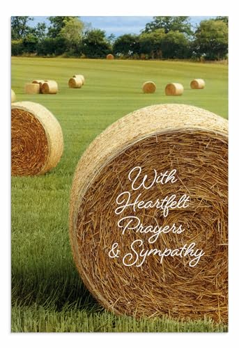 DaySpring - Sympathy - 4 Design Assortment with King James Scripture - 12 Sympathy Boxed Cards & 12 Envelopes (U1612)