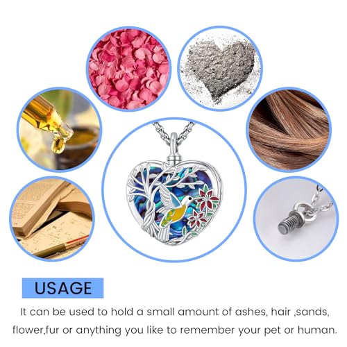 Eusense Cremation Jewelry for Ashes Urn Necklace to Put Ashes In 925 Sterling Silver Memorial Pendant Heart Urn Necklaces for Ashes Necklace for Women Men - style: I-Heart Urn Necklace-Abalone Shell