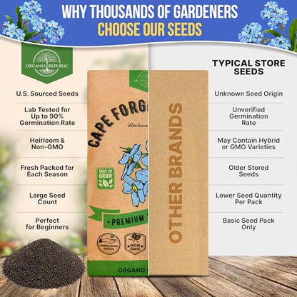 Cape Forget-Me-Not Seeds Pack 3G - Over 1,400 Non-GMO Heirloom Cape Forget-Me-Not Seeds for Planting Flowers in Individual Seed Packet, Flower Seeds for Planting Home Garden Indoor & Outdoor Gardening