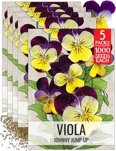 Seed Needs Johnny Jump Up Seeds for Planting Helen Mount Violas - Heirloom & Open Pollinated Flower Seed to Plant an Outdoor Flower Garden - Perfect for Borders, Pots & Containers - size: 5 Packs, style: Johnny Jump Up