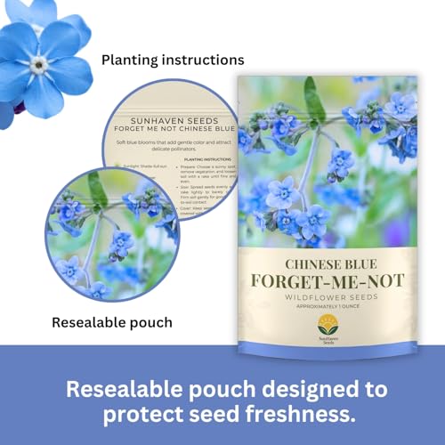 Forget-Me-Not Seeds (Chinese Blue) – 5,000+ Seeds – 1 oz Bulk Extra Large Packet – Covers 100 sq ft – Non-GMO Cynoglossum amabile – Sky Blue Blooms for Wildflower Gardens